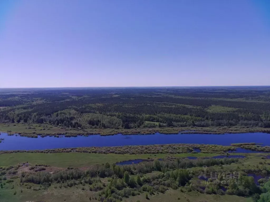 Участок в Вологодская область, Устюженский район, д. Оснополье ул. ... - Фото 2
