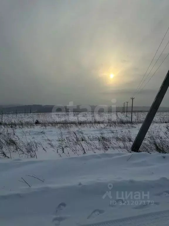 Участок в Красноярский край, Березовский район, Зыковский сельсовет, ... - Фото 1