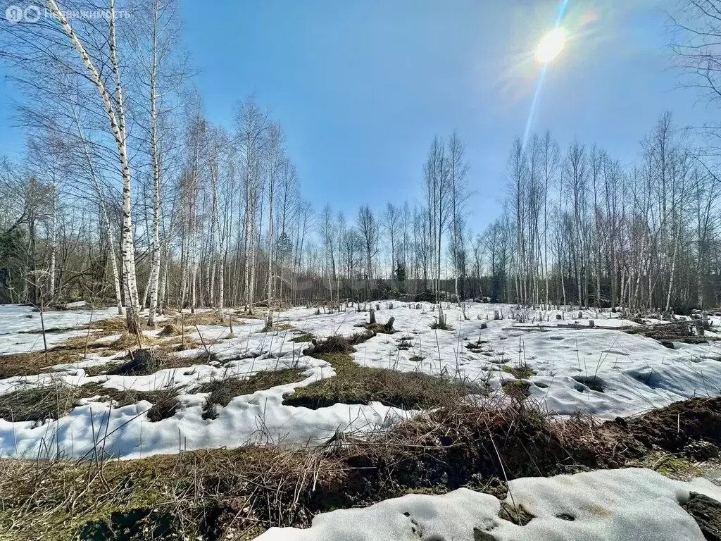 Участок в Московская область, городской округ Клин, Высоковск (10 м) - Фото 1