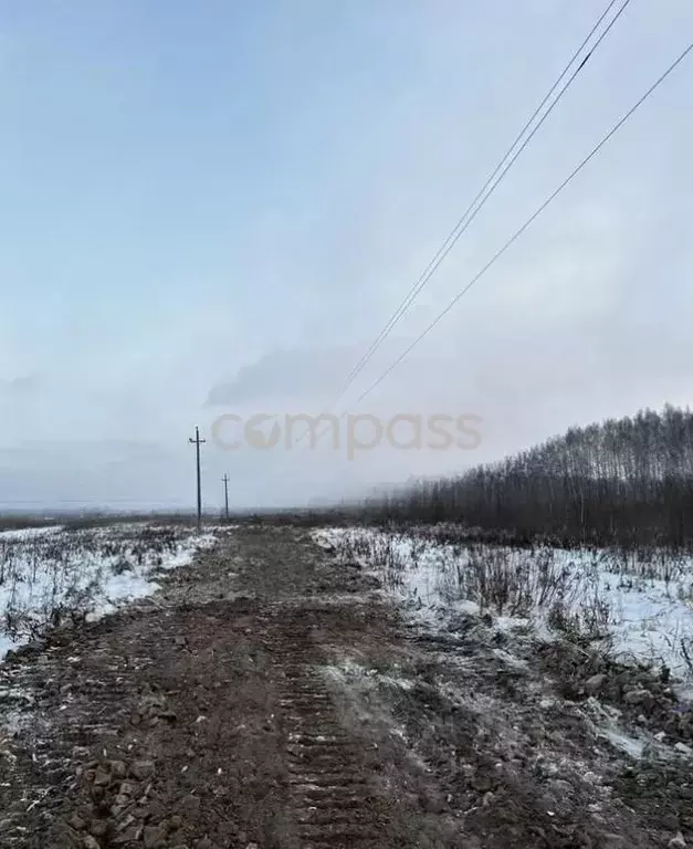 Участок в Тюменская область, Тюменский район, с. Горьковка Сибирская ... - Фото 1