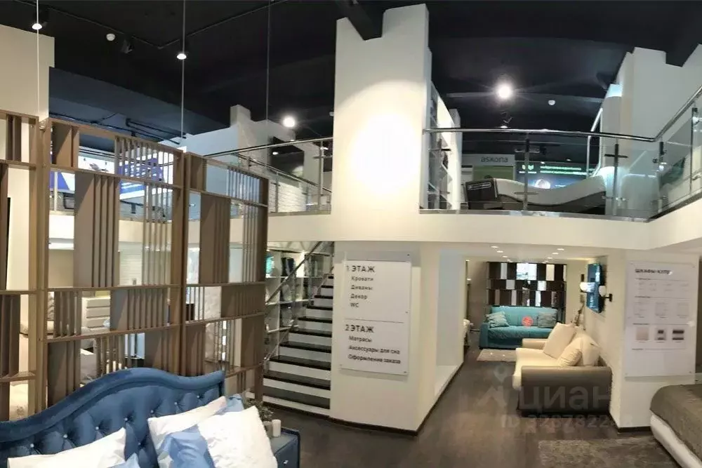 Помещение свободного назначения в Москва Кутузовский просп., 26К1 (244 ... - Фото 2