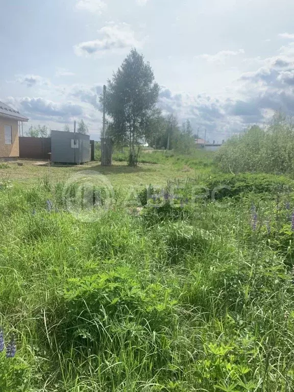 Участок в Владимирская область, Муромский район, д. Александровка  ... - Фото 1