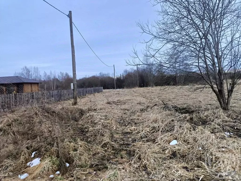 Участок в Ленинградская область, Лужский район, Дзержинское с/пос, д. ... - Фото 2