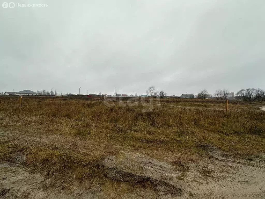 Участок в городской округ Брянск, посёлок городского типа Большое ... - Фото 2