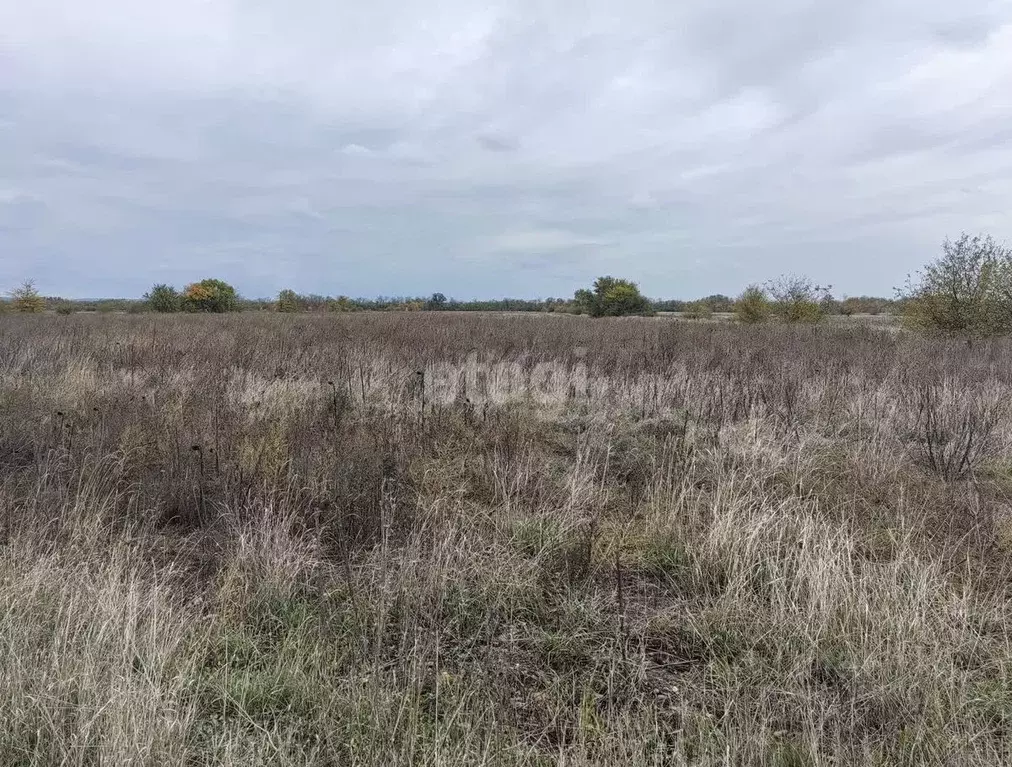 Участок в Адыгея, Майкоп городской округ, пос. Северный ул. Школьная ... - Фото 0