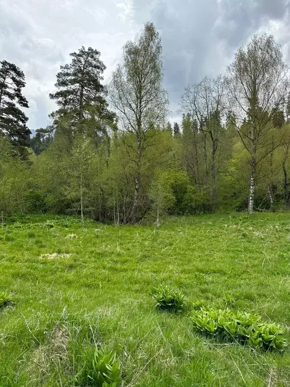 Участок в Карачаево-Черкесия, Зеленчукский район, с. Архыз ул. ... - Фото 1