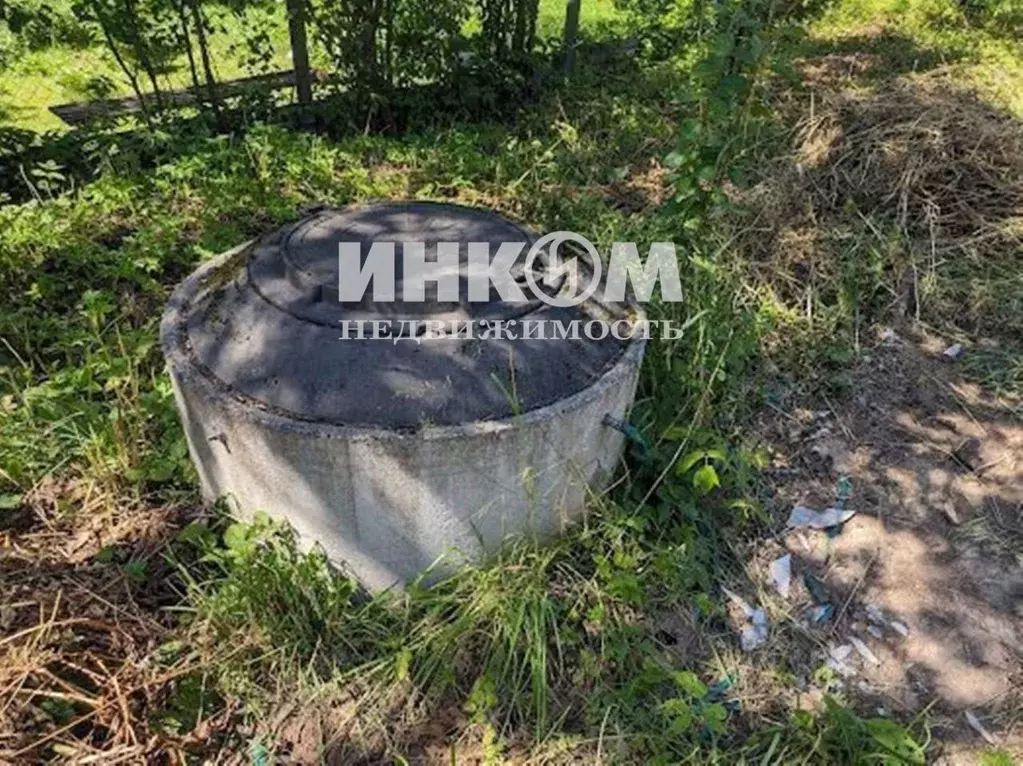 Участок в Московская область, Истра муниципальный округ, Родники СТ 17 ... - Фото 2