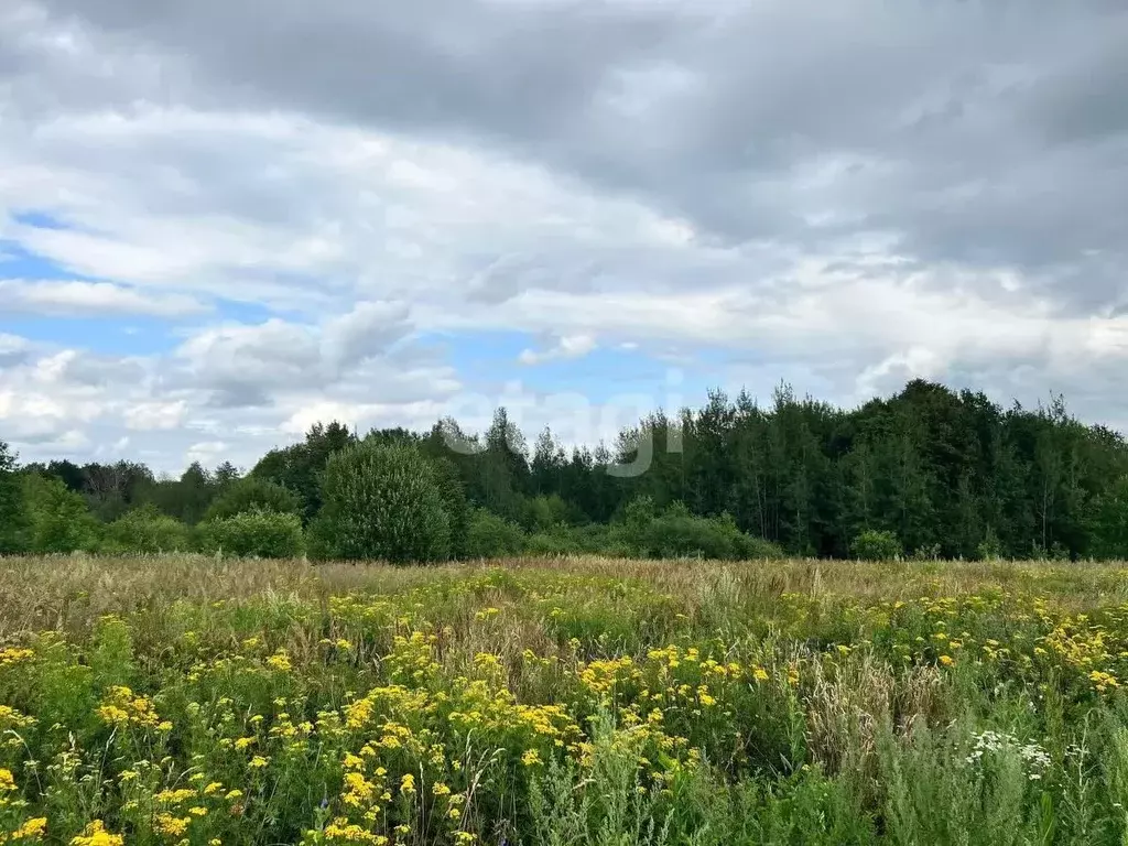 Участок в Мордовия, Саранск городской округ, Николаевка рп  (15.0 ... - Фото 1