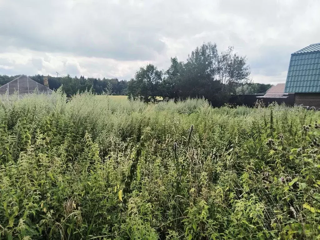 Участок в Калужская область, Жуковский муниципальный округ, Истье ... - Фото 2