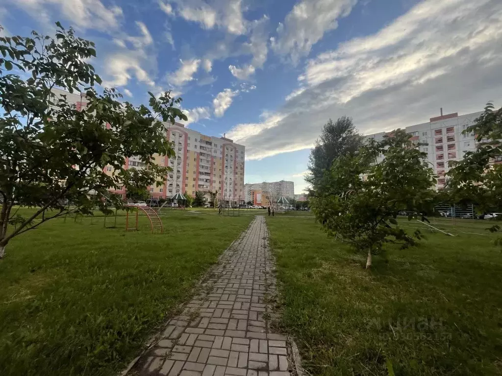 1-к кв. Белгородская область, Строитель Яковлевский городской округ, ... - Фото 1