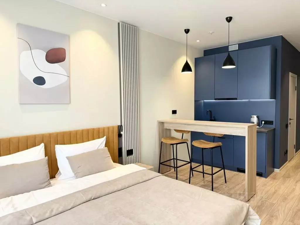 Студия Санкт-Петербург просп. Энергетиков, 8к2 (27.0 м) - Фото 1