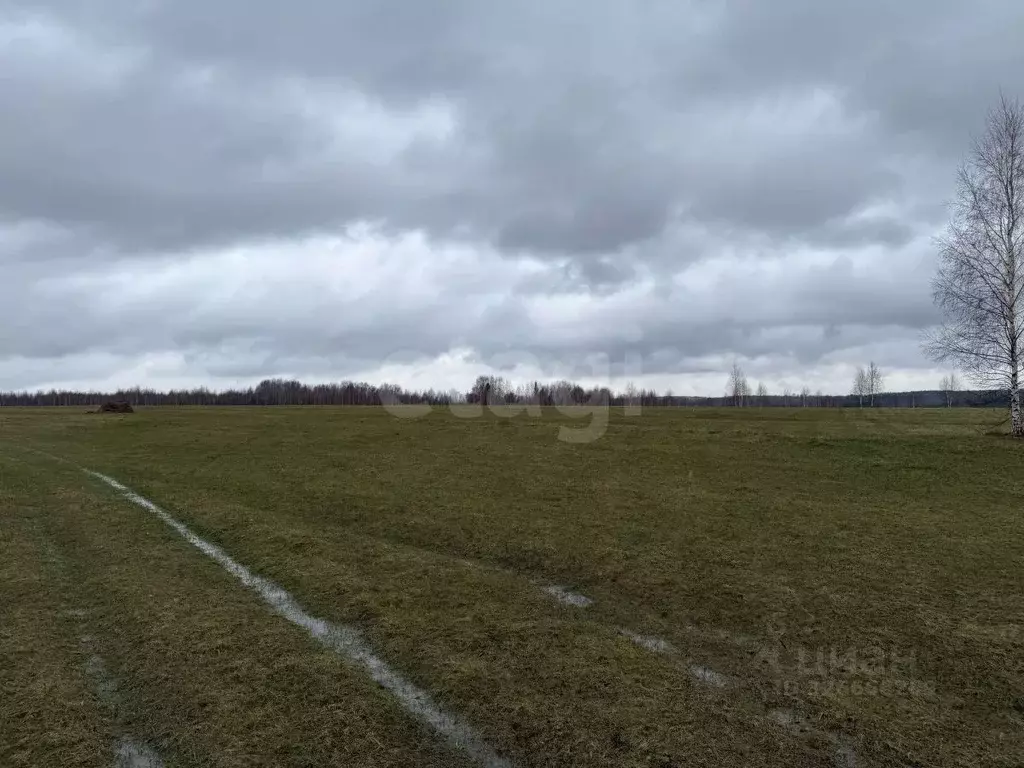 Участок в Пермский край, Ильинский муниципальный округ, д. Плотники ... - Фото 1