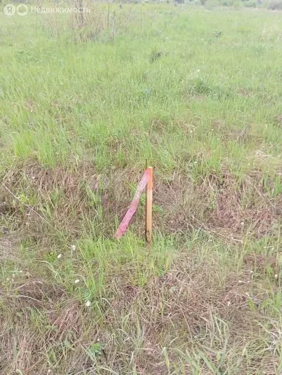 Участок в Винзили, СНТ Надежда, Васильковая улица (10 м) - Фото 2