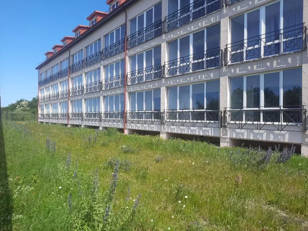 2-к кв. Калининградская область, Янтарный городской округ, пос. ... - Фото 2
