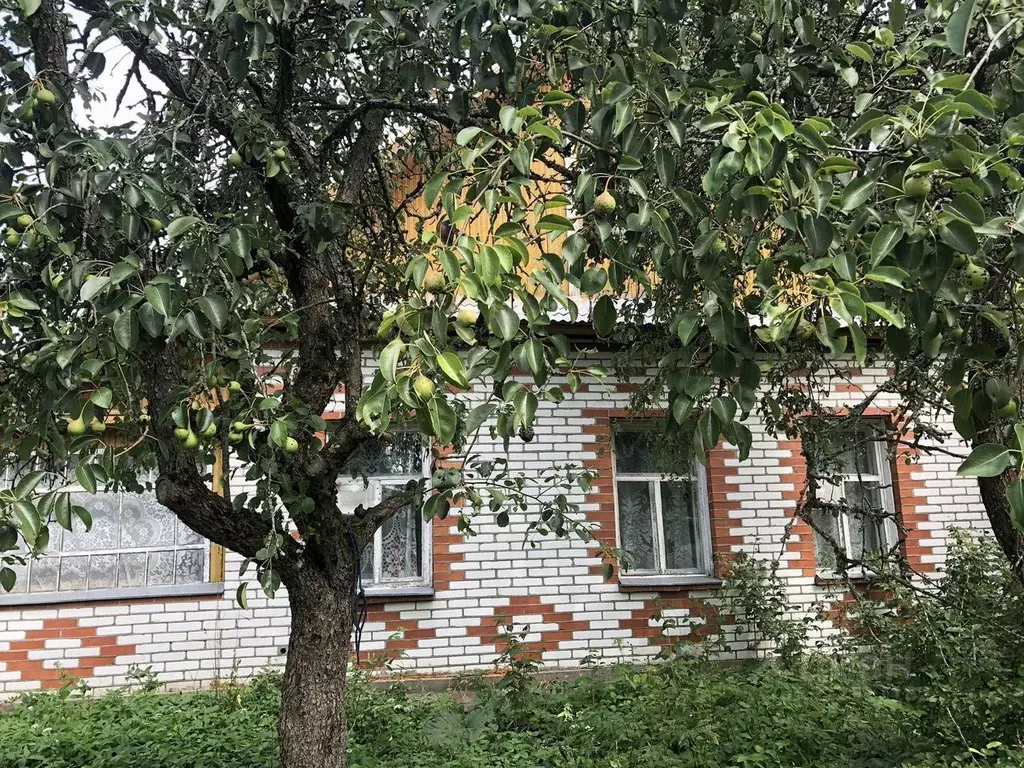 Дом в Ленинградская область, Кингисеппский район, Куземкинское с/пос, ... - Фото 1