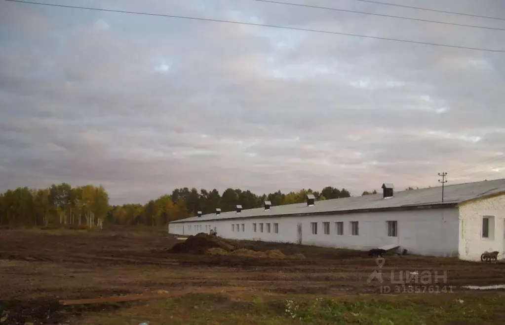 Производственное помещение в Тюменская область, Нижнетавдинский район, ... - Фото 0