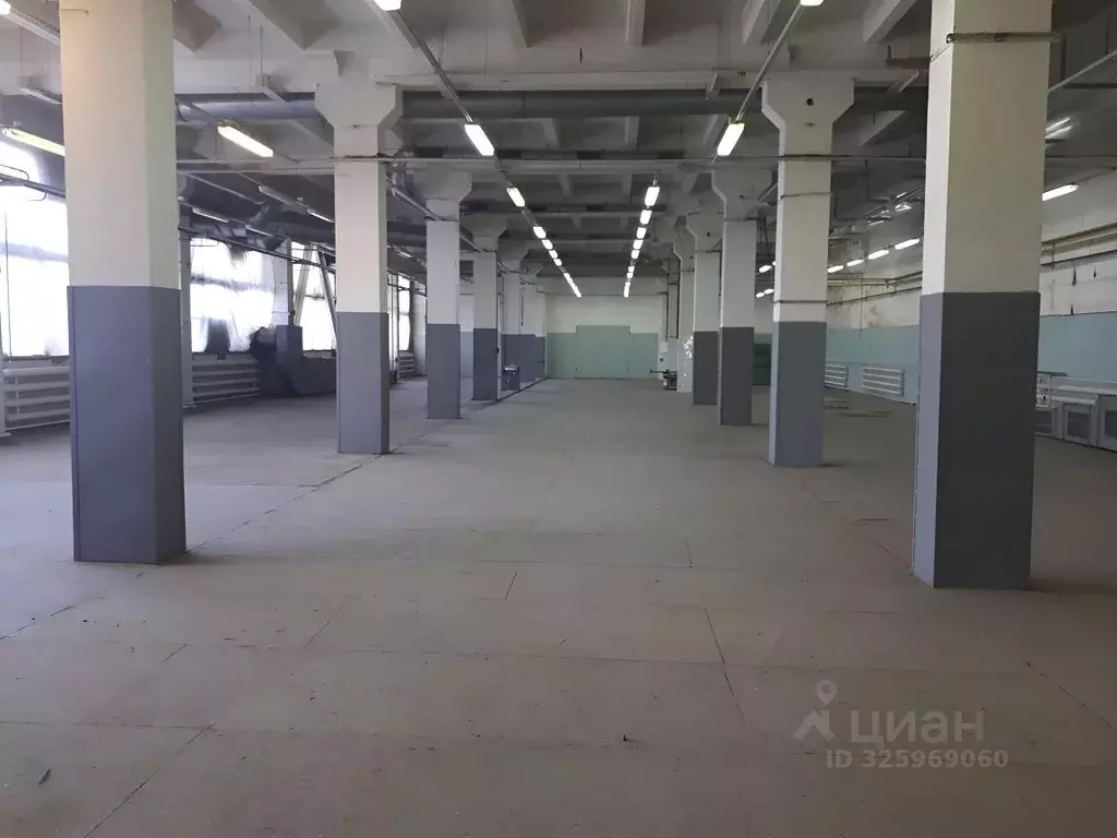 Помещение свободного назначения в Новосибирская область, Новосибирск ... - Фото 1