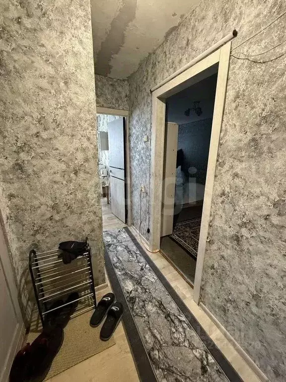 1-к кв. Алтайский край, Новоалтайск ул. 40 лет ВЛКСМ, 11 (29.4 м) - Фото 1