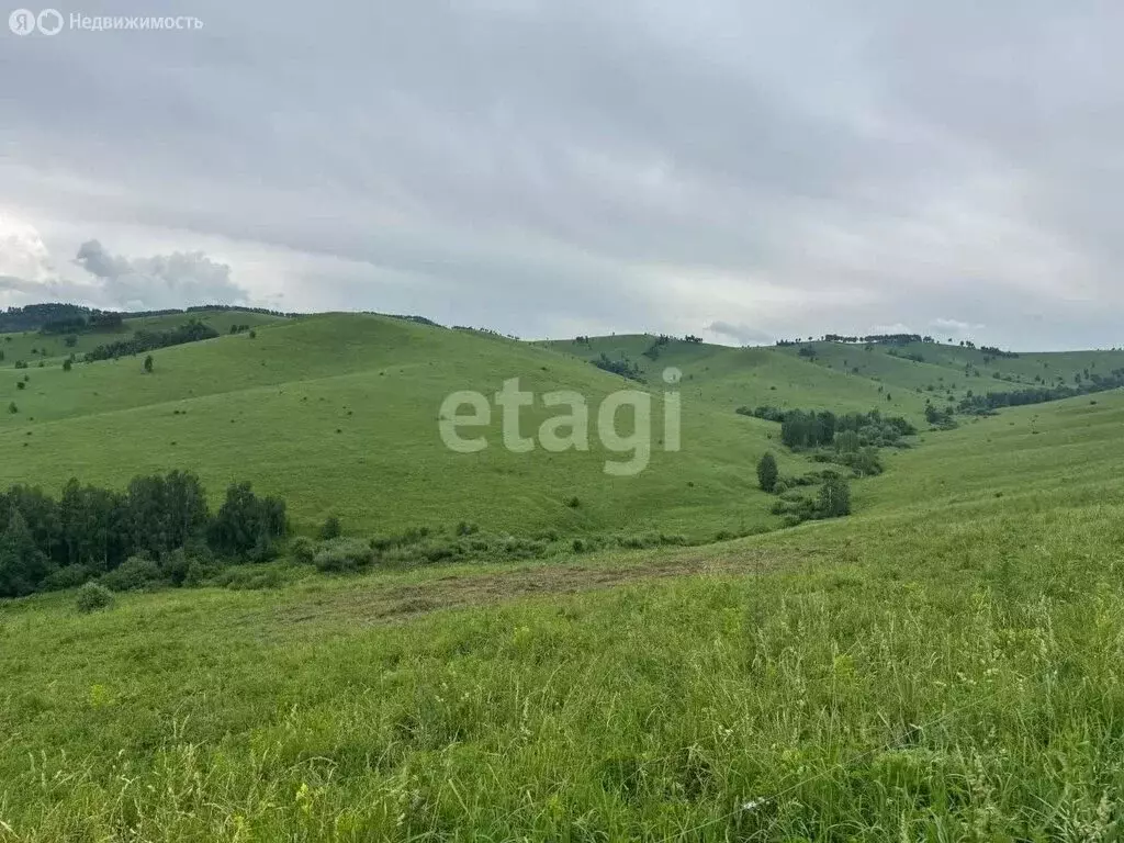 Участок в Алтайский район, ДНТ Жемчужина Алтая (10 м) - Фото 2