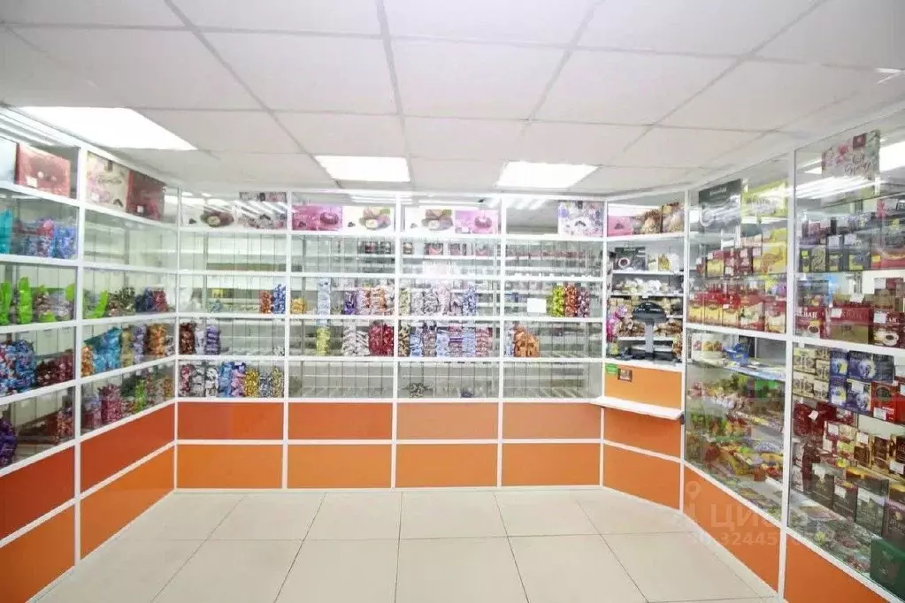 Помещение свободного назначения в Забайкальский край, Чита ул. ... - Фото 1