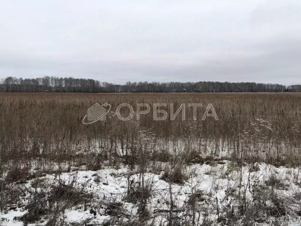 Участок в Тюменская область, Тюмень Уральская ул., 17 (10.0 сот.) - Фото 1