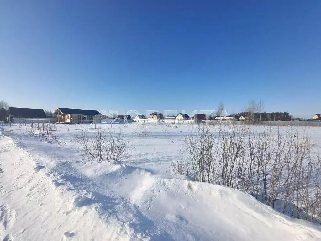 Участок в Тюменская область, Тюмень СОСН Березка-3 тер., ул. 15-я ... - Фото 1