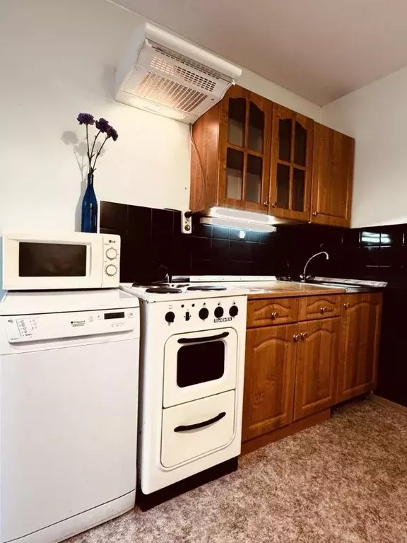 1-к кв. Санкт-Петербург просп. Художников, 13К2 (36.2 м) - Фото 2