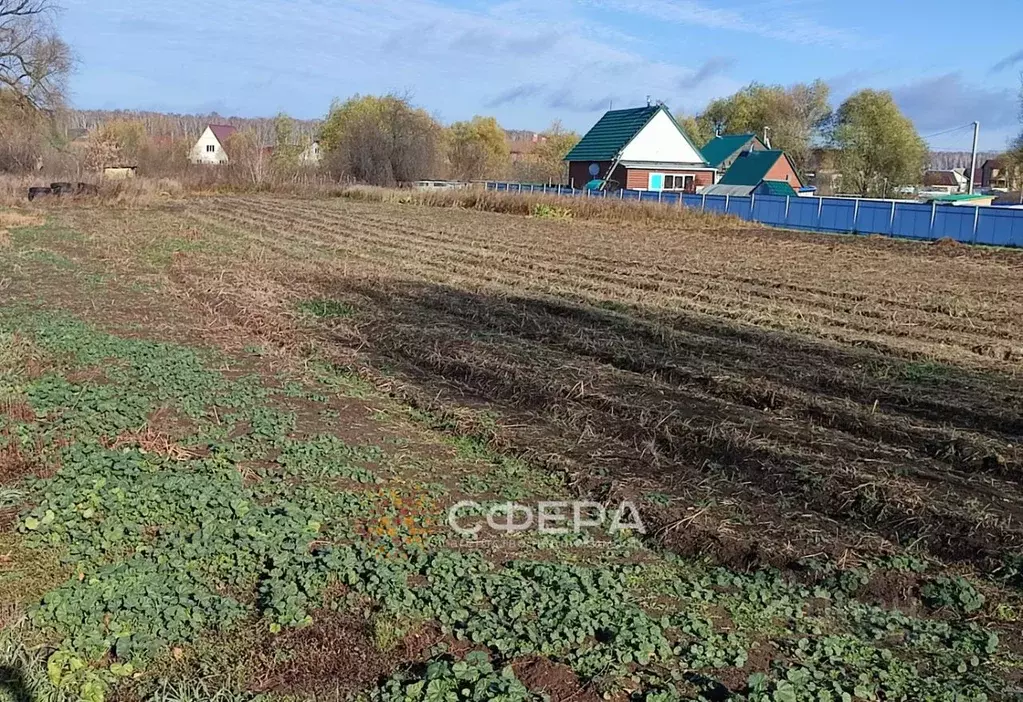 Участок в Новосибирская область, Новосибирский район, с. Криводановка ... - Фото 0
