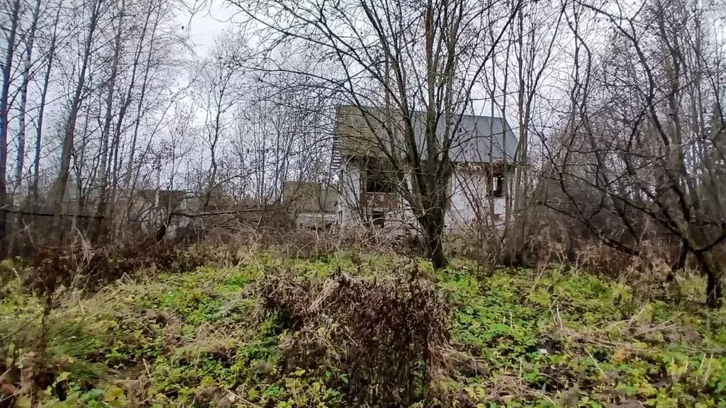 Участок в Ленинградская область, Кировский район, Мгинское городское ... - Фото 1