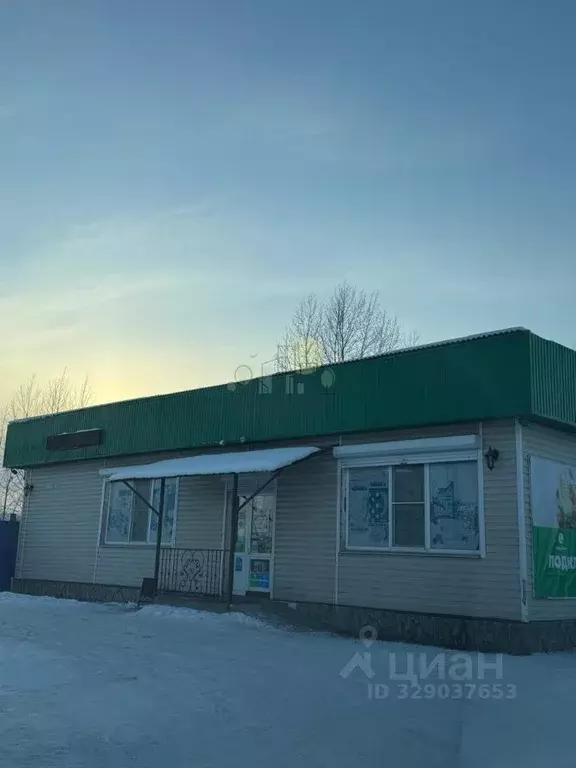 Дом в Иркутская область, Иркутский муниципальный округ, с. Оек ул. ... - Фото 2
