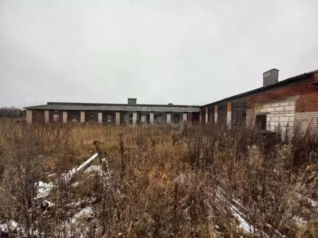 Склад в Вологодская область, Белозерский муниципальный округ, д. ... - Фото 2