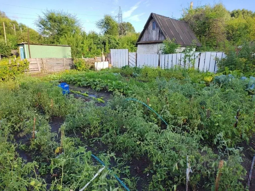 Дом в Ульяновская область, Ульяновск Труженик СНТ, 36 (48 м) - Фото 2