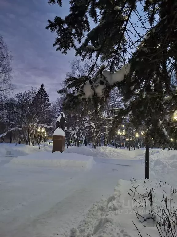 1-к кв. Марий Эл, Йошкар-Ола ул. Пушкина, 42 (32.0 м) - Фото 1