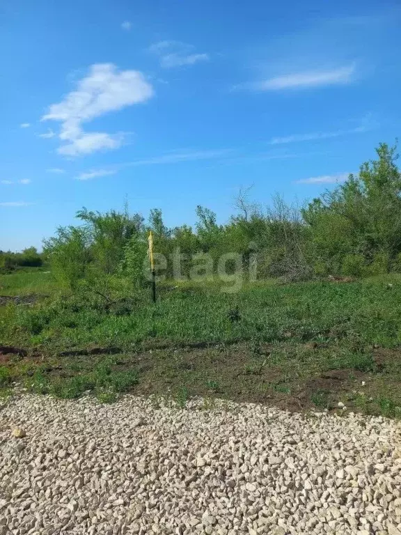 Участок в Саратовская область, Энгельс муниципальное образование, ... - Фото 2
