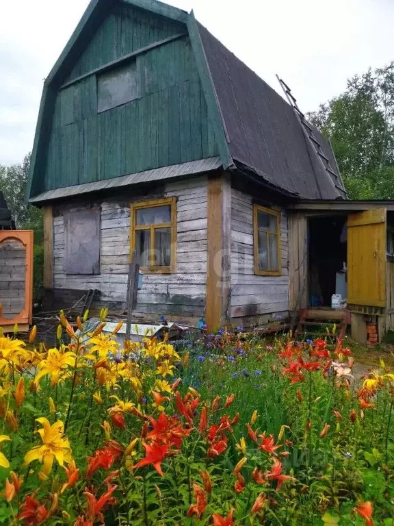 Участок в Хабаровский край, Комсомольский район, Галичное СНТ ул. ... - Фото 0