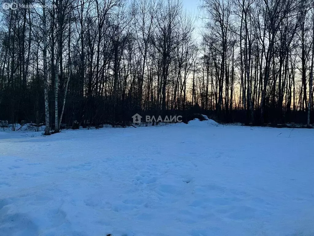 Участок в Калужская область, Жуковский муниципальный округ, СНТ Лесная ... - Фото 2