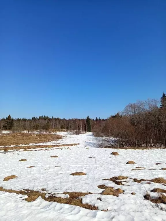 Участок в Новгородская область, Валдайский район, Ивантеевское с/пос, ... - Фото 1