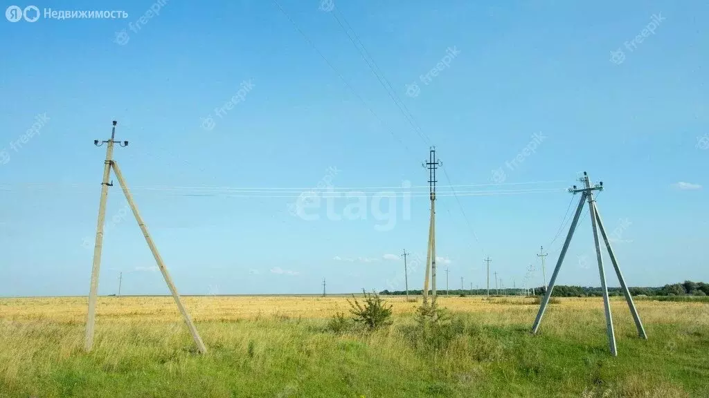 Участок в Курганская область, Мокроусовский муниципальный округ, село ... - Фото 0