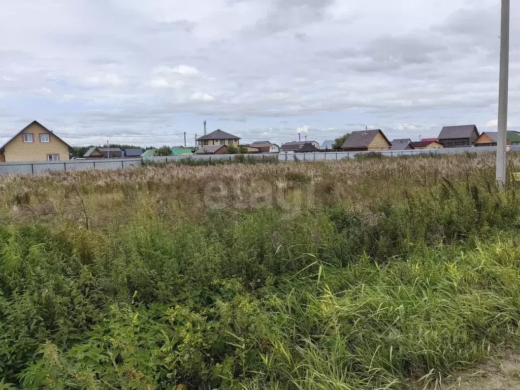 Участок в Тюменская область, Тюменский район, д. Якуши ул. Александра ... - Фото 1