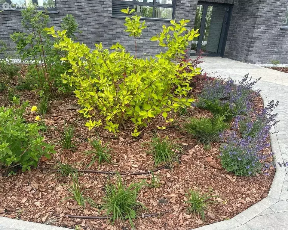 1-комнатная квартира: Екатеринбург, улица Блюхера, 95 (44.2 м) - Фото 0