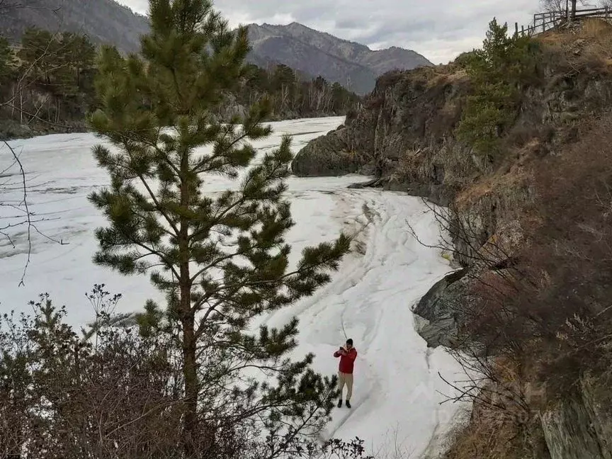 Участок в Алтай, Чемальский район, с. Чемал Катунская ул., 42 (17.7 ... - Фото 1
