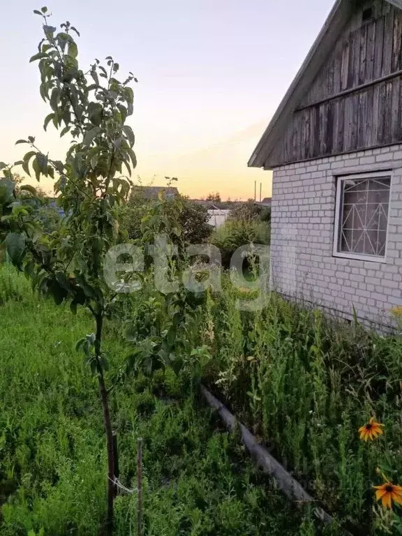 Дом в Брянская область, Сельцо ул. Мейпариани (28 м) - Фото 0