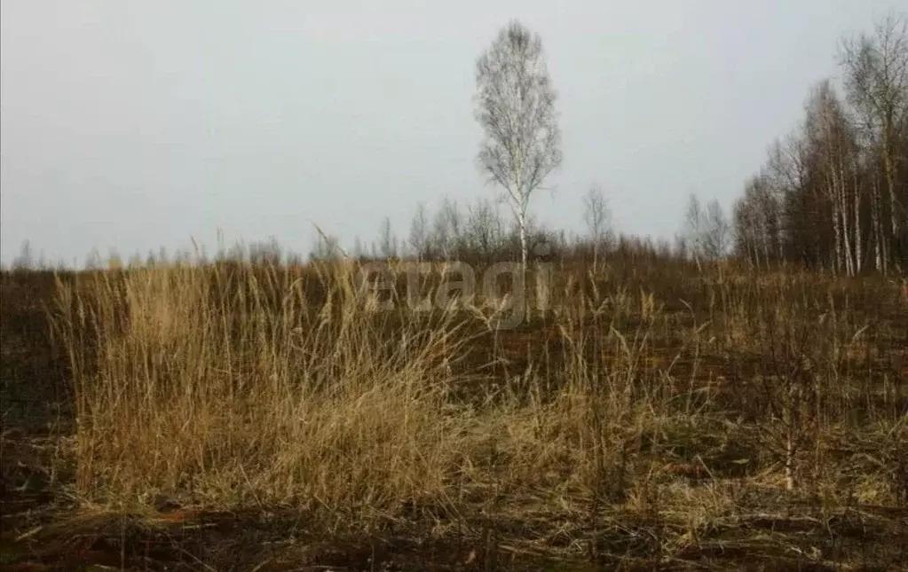Участок в Ростовская область, Ростов-на-Дону Бетонный пер. (4.0 сот.) - Фото 0