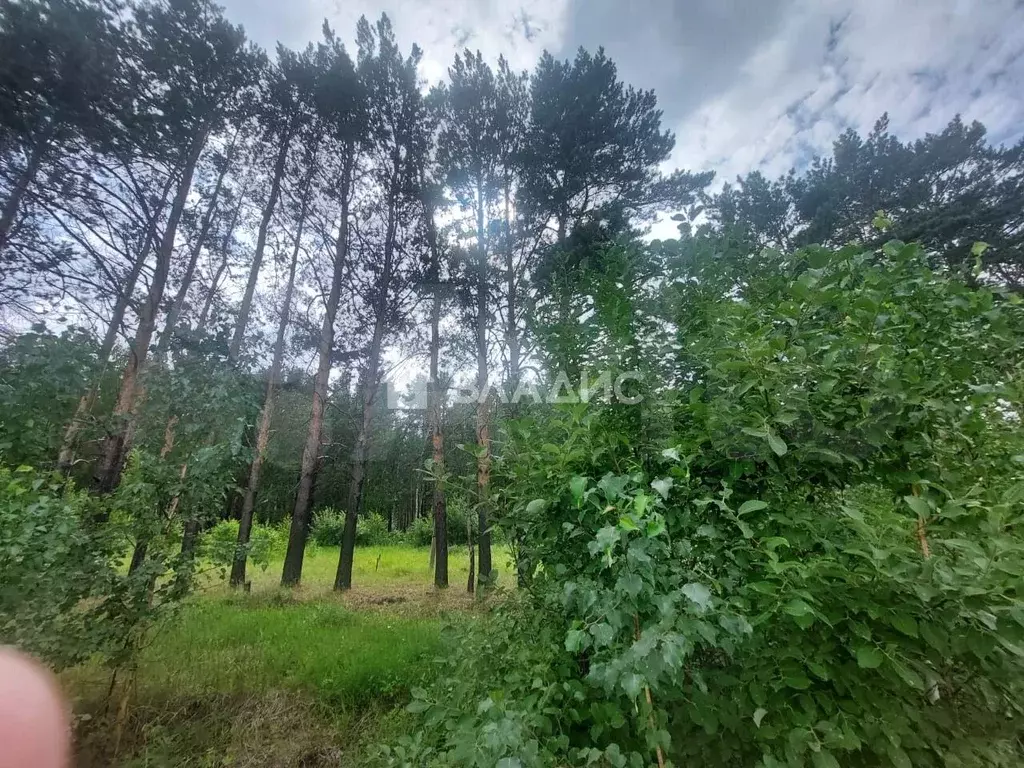 Участок 7,5 сот. (ИЖС) - Фото 1