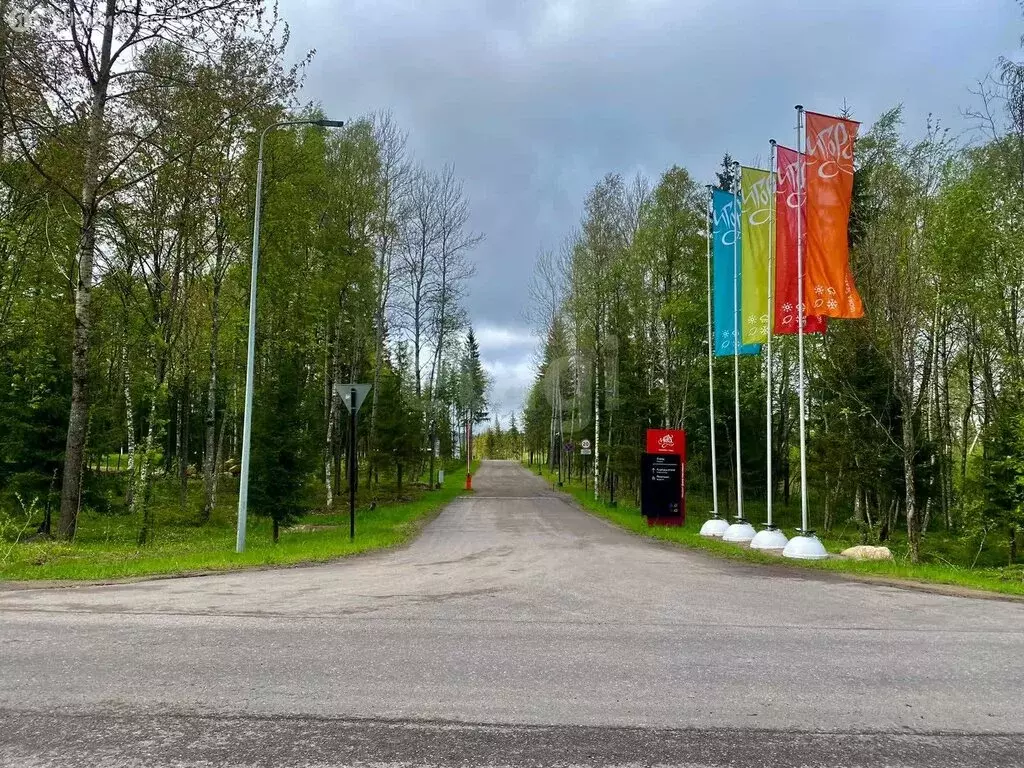Участок в Сосновское сельское поселение, садоводческое некоммерческое ... - Фото 1
