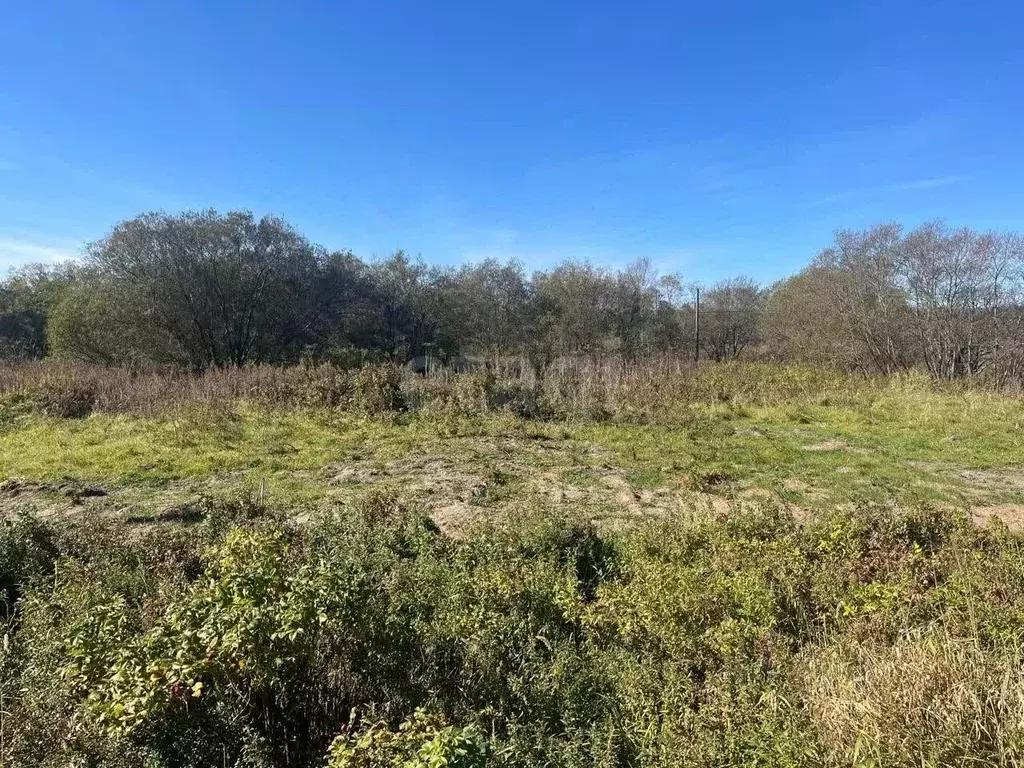 Участок в Сахалинская область, Анивский городской округ, с. Таранай  ... - Фото 1