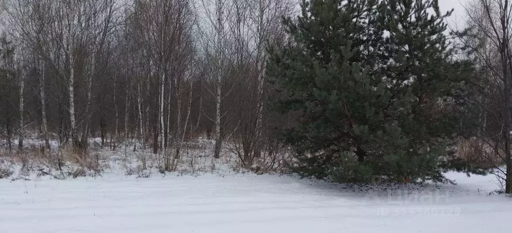 Участок в Московская область, Ступино городской округ, с. Мещерино ул. ... - Фото 0