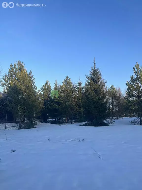 Участок в Завьяловский район, деревня Сепыч (8 м) - Фото 1