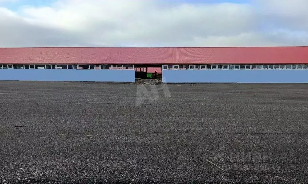 Склад в Московская область, Кашира городской округ, д. Барабаново ул. ... - Фото 2