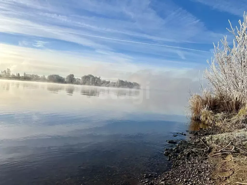 Участок в Ярославская область, Некрасовский муниципальный округ, с. ... - Фото 2